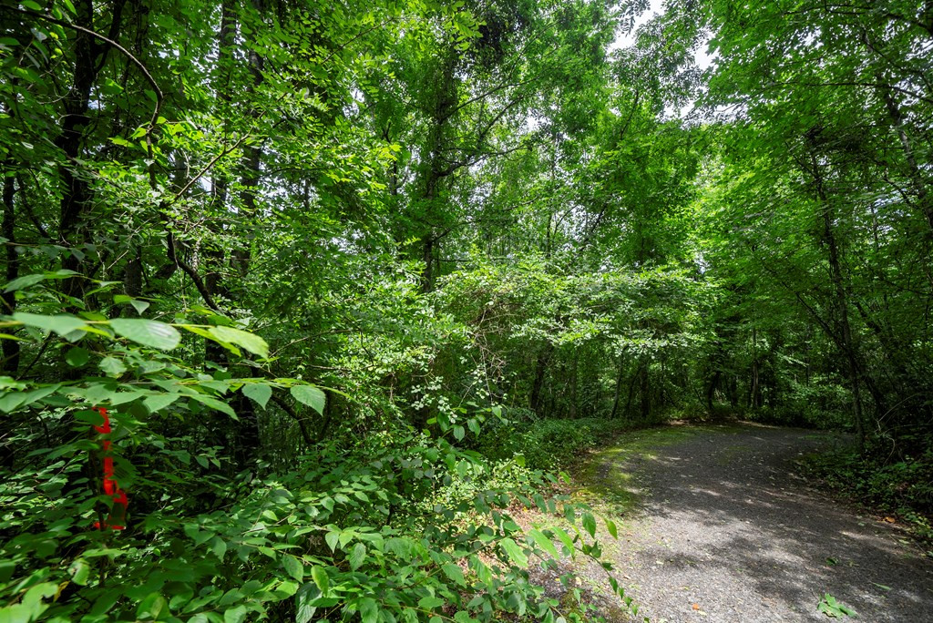 0 E Buffalo Property Photo 6