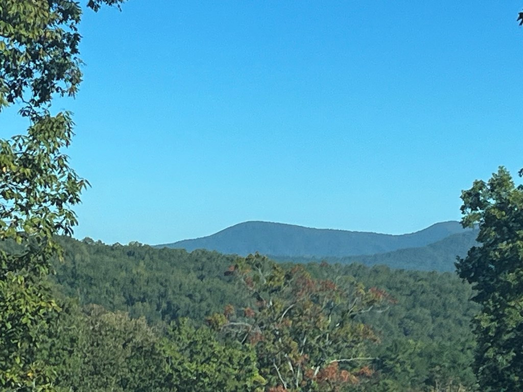 Lot 23 23 Trailblazer Way Property Photo 8