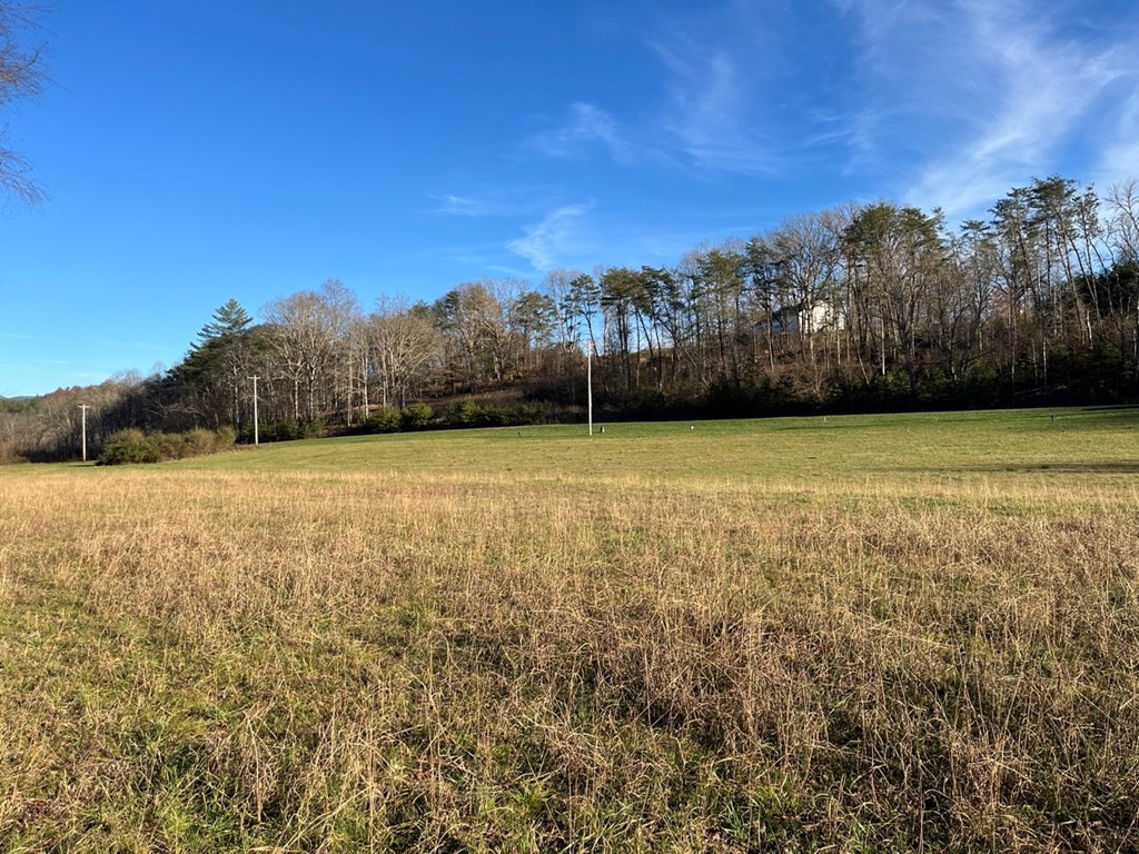Lot 12 Harshaw Farm Drive Property Photo 7