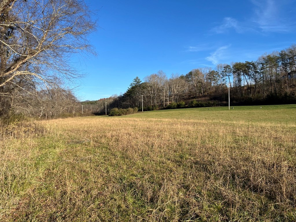 Lot 12 Harshaw Farm Drive Property Photo 8