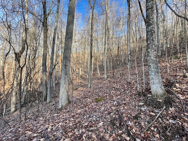 Lot 73 73 Hidden Treasure Estates Property Photo 6