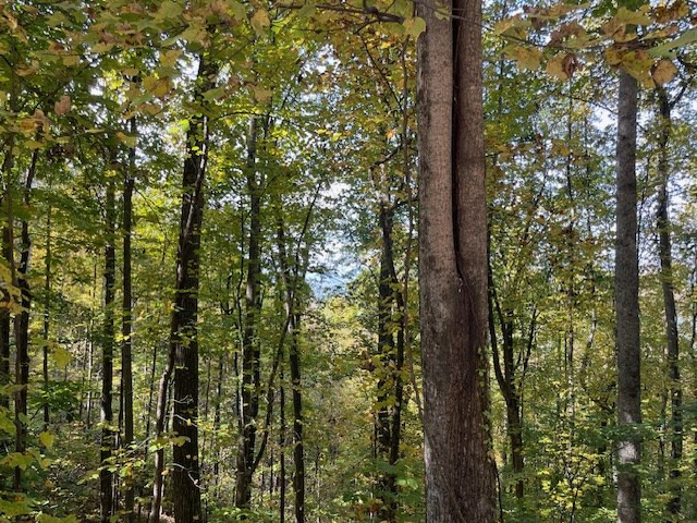 Lot 73 73 Hidden Treasure Estates Property Photo 25