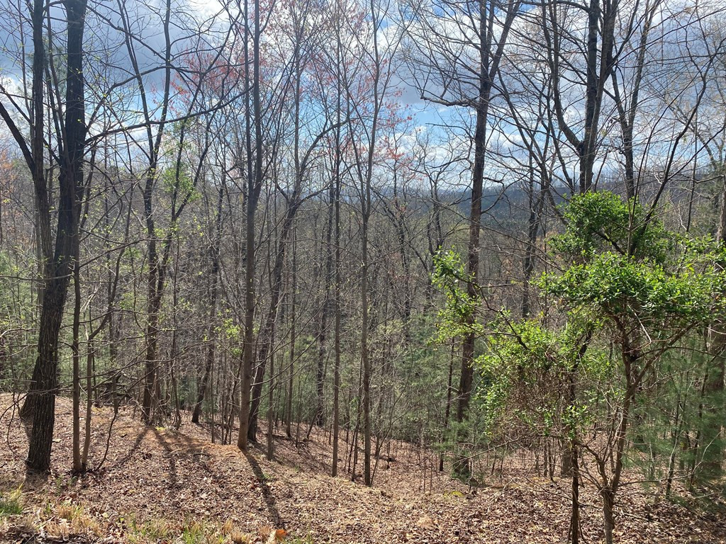 Lot 62 62 Jitterbug Lane Property Photo 2