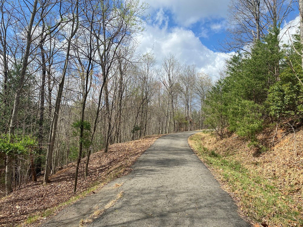 Lot 62 62 Jitterbug Lane Property Photo 3