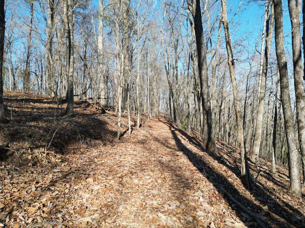 20.05 Ac 5-23 Treehouse Trail Property Photo 5