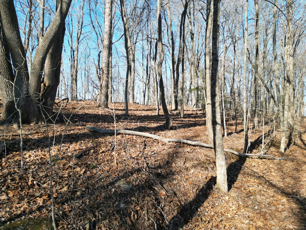 20.05 Ac 5-23 Treehouse Trail Property Photo 7