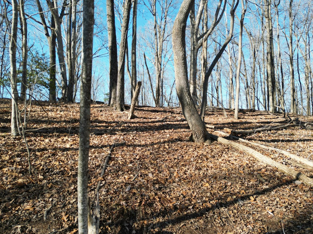 20.05 Ac 5-23 Treehouse Trail Property Photo 8