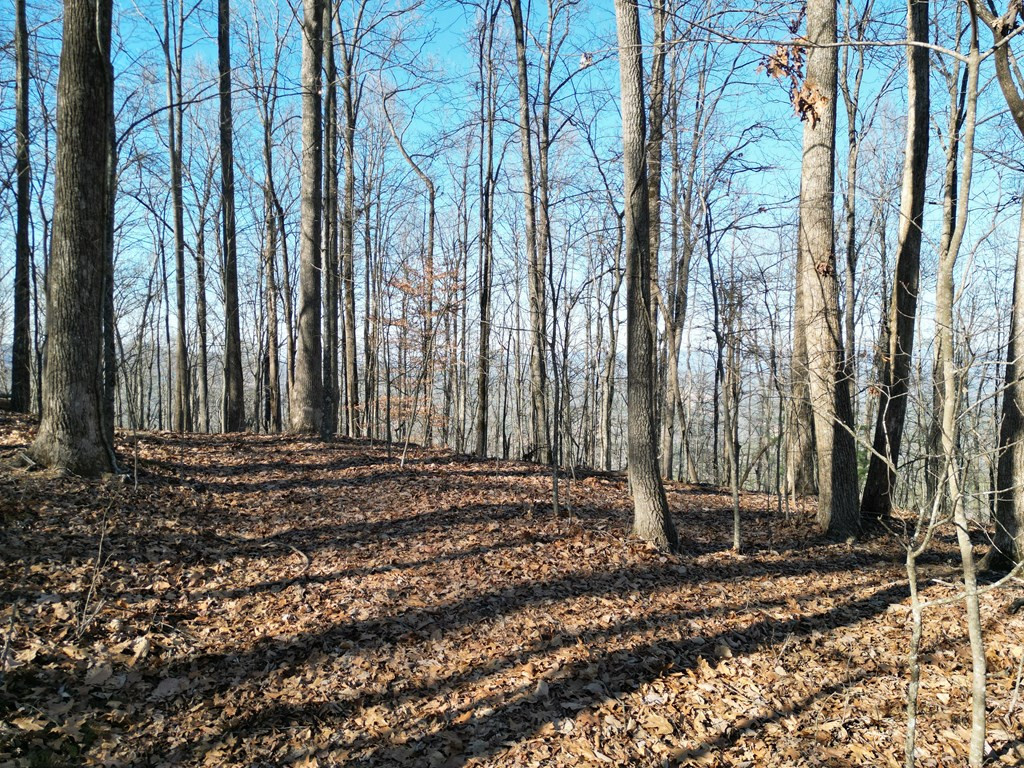 20.05 Ac 5-23 Treehouse Trail Property Photo 10