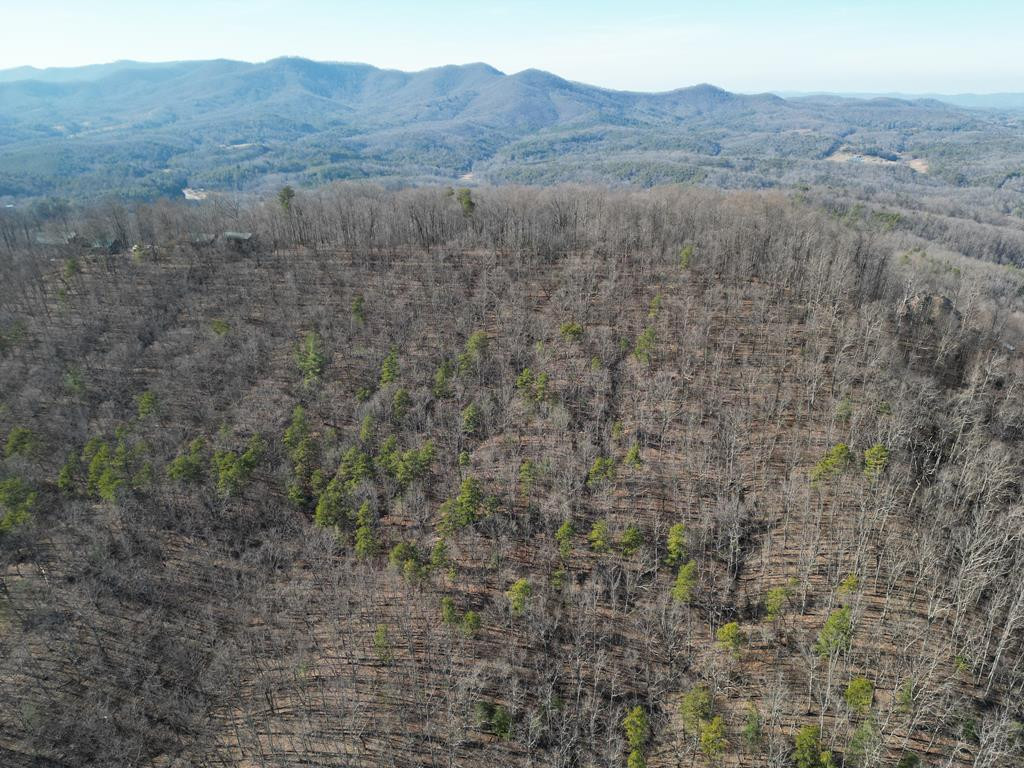 20.05 Ac 5-23 Treehouse Trail Property Photo 13