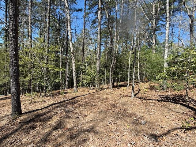 Lot 2 2 Lynae Lane Property Photo 1