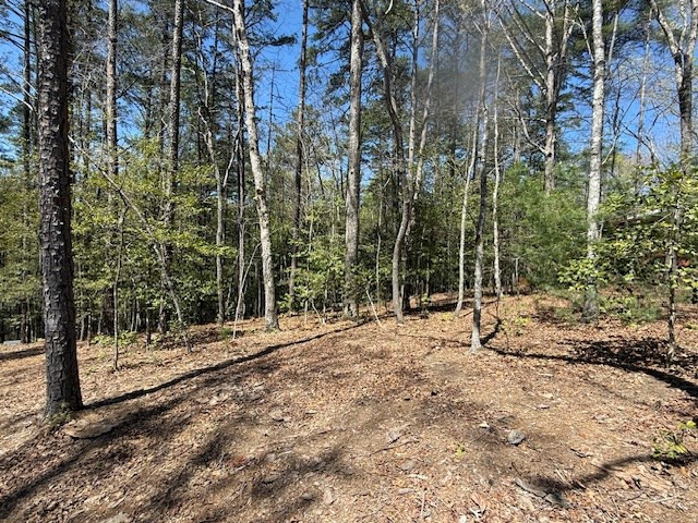 Lot 2 2 Lynae Lane Property Photo 3