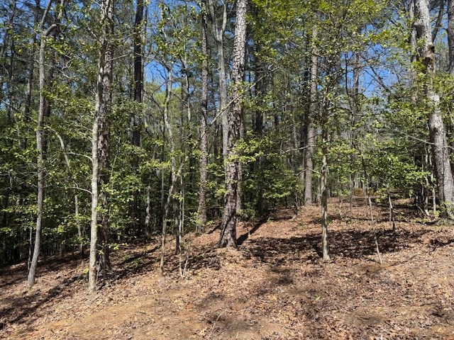 Lot 2 2 Lynae Lane Property Photo 4