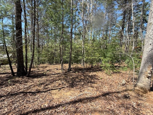 Lot 2 2 Lynae Lane Property Photo 5
