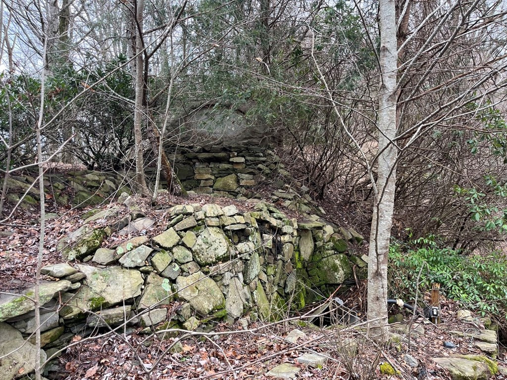 19 Lots Crockett Property Photo 2