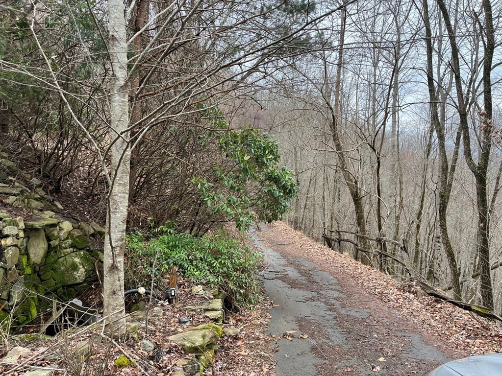 19 Lots Crockett Property Photo 3