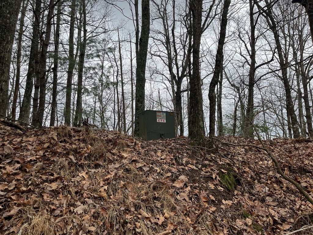 19 Lots Crockett Property Photo 8