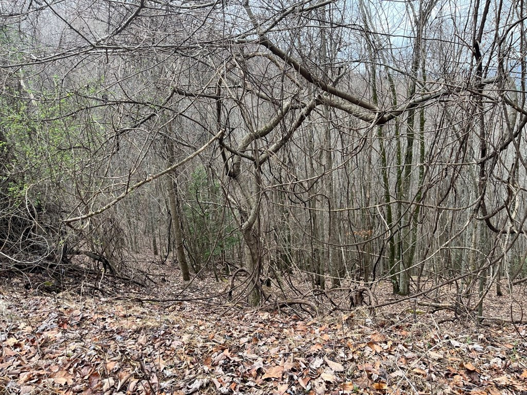 19 Lots Crockett Property Photo 13