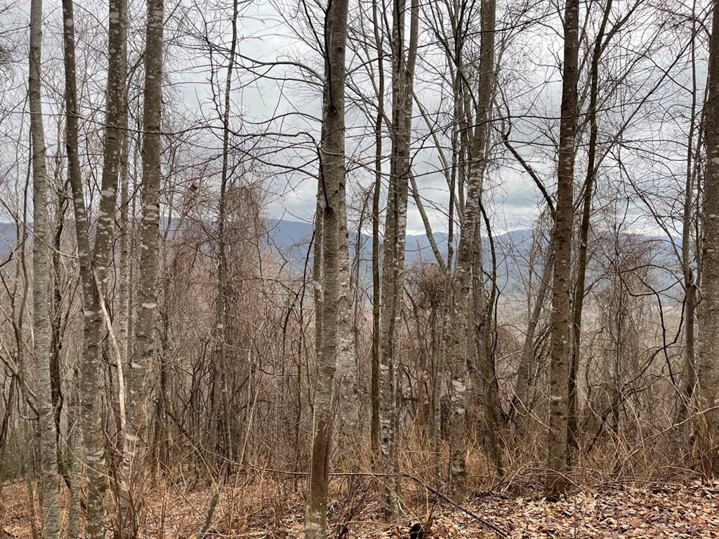 19 Lots Crockett Property Photo 15