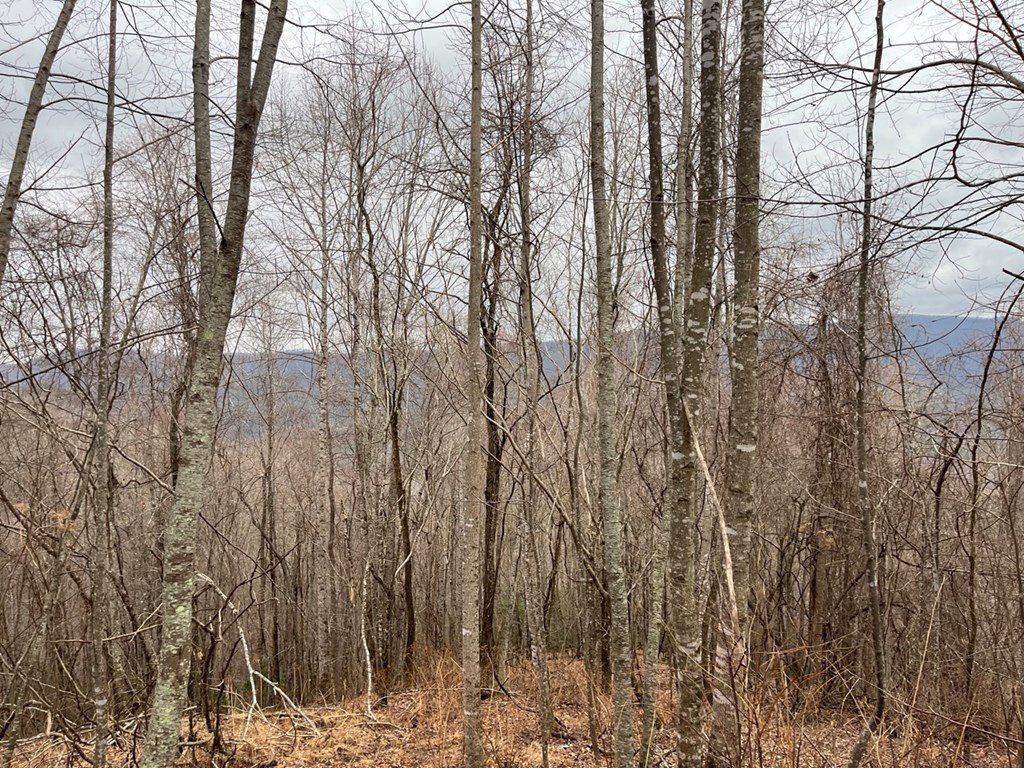 19 Lots Crockett Property Photo 16