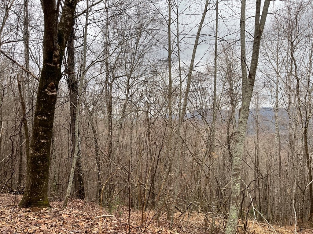 19 Lots Crockett Property Photo 17
