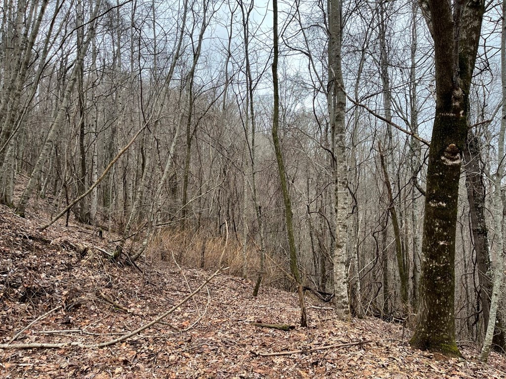 19 Lots Crockett Property Photo 19