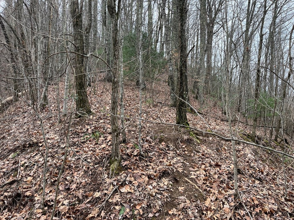 19 Lots Crockett Property Photo 27
