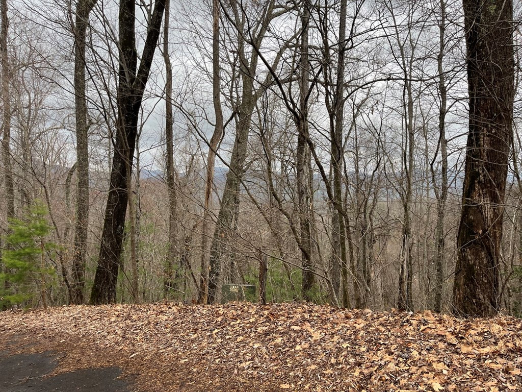 19 Lots Crockett Property Photo 30