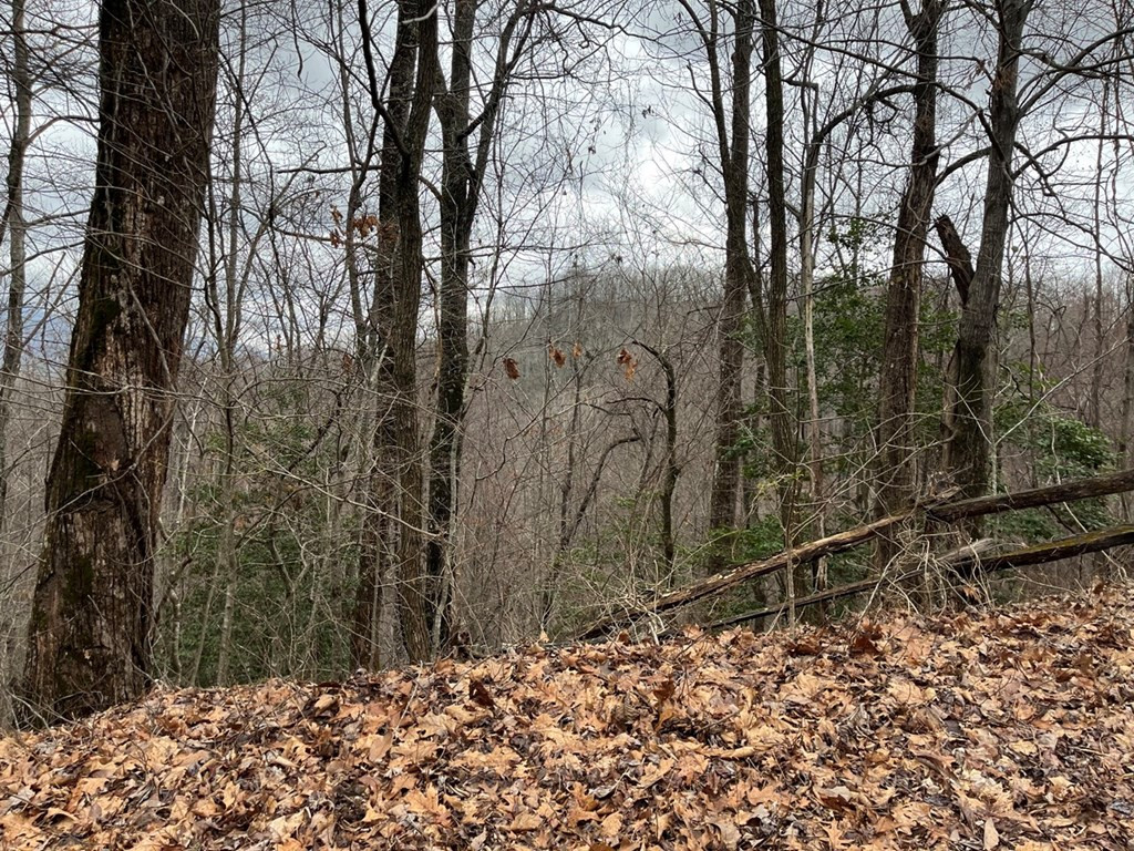 19 Lots Crockett Property Photo 31