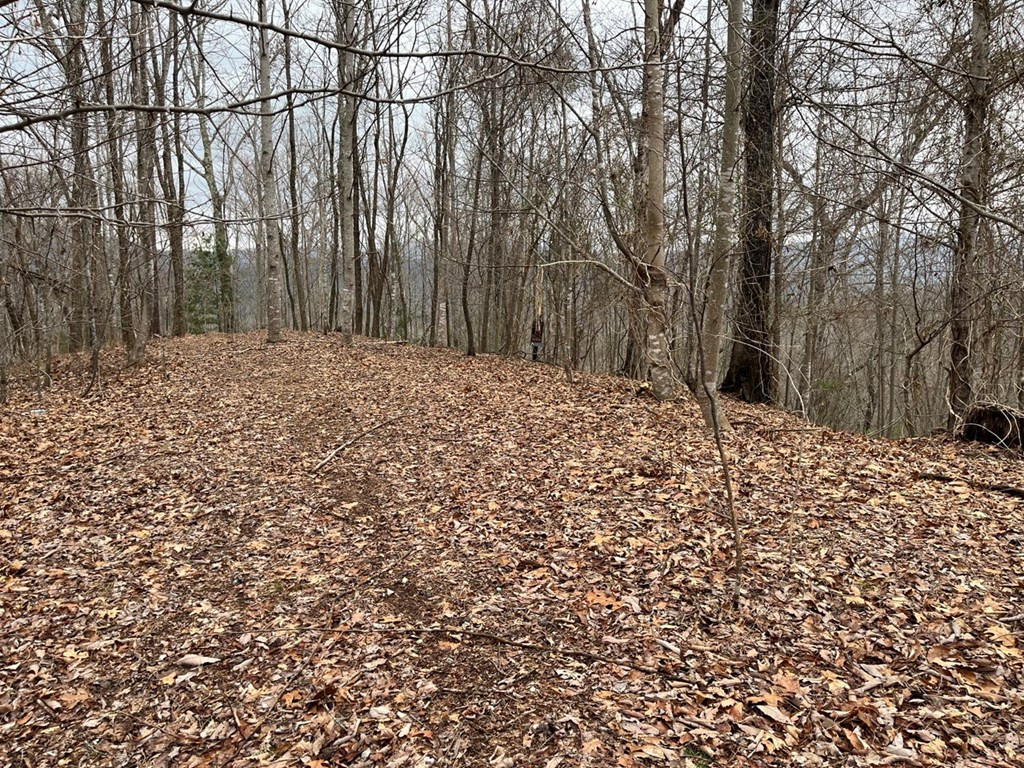19 Lots Crockett Property Photo 33