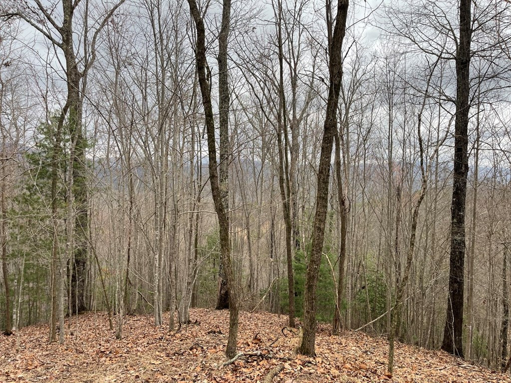19 Lots Crockett Property Photo 35
