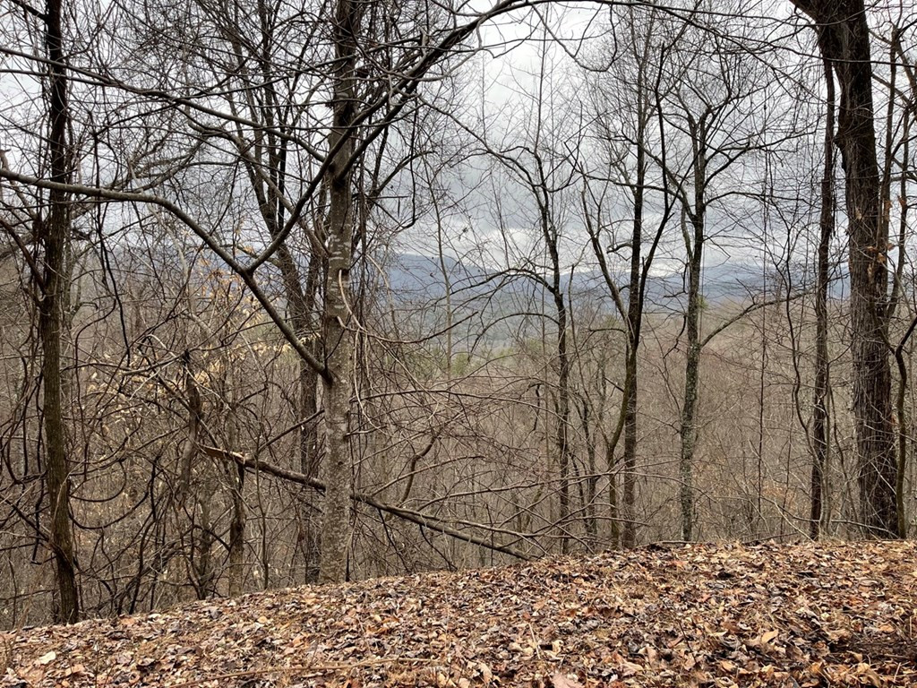 19 Lots Crockett Property Photo 37