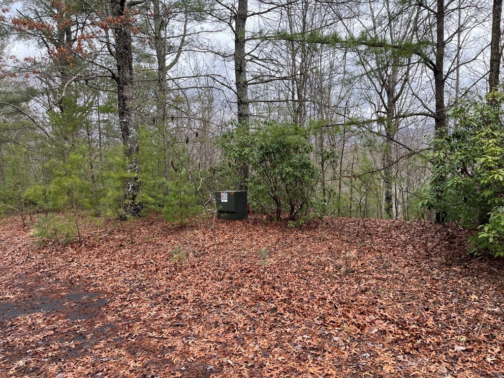 19 Lots Crockett Property Photo 39