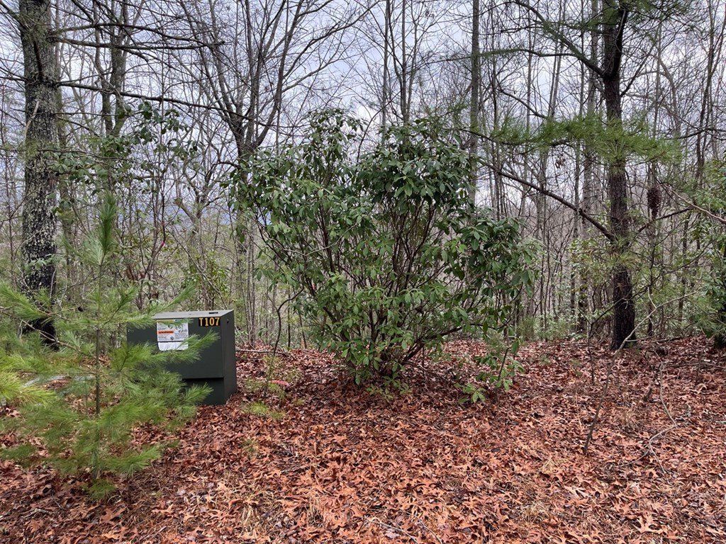 19 Lots Crockett Property Photo 41