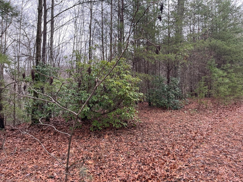 19 Lots Crockett Property Photo 42