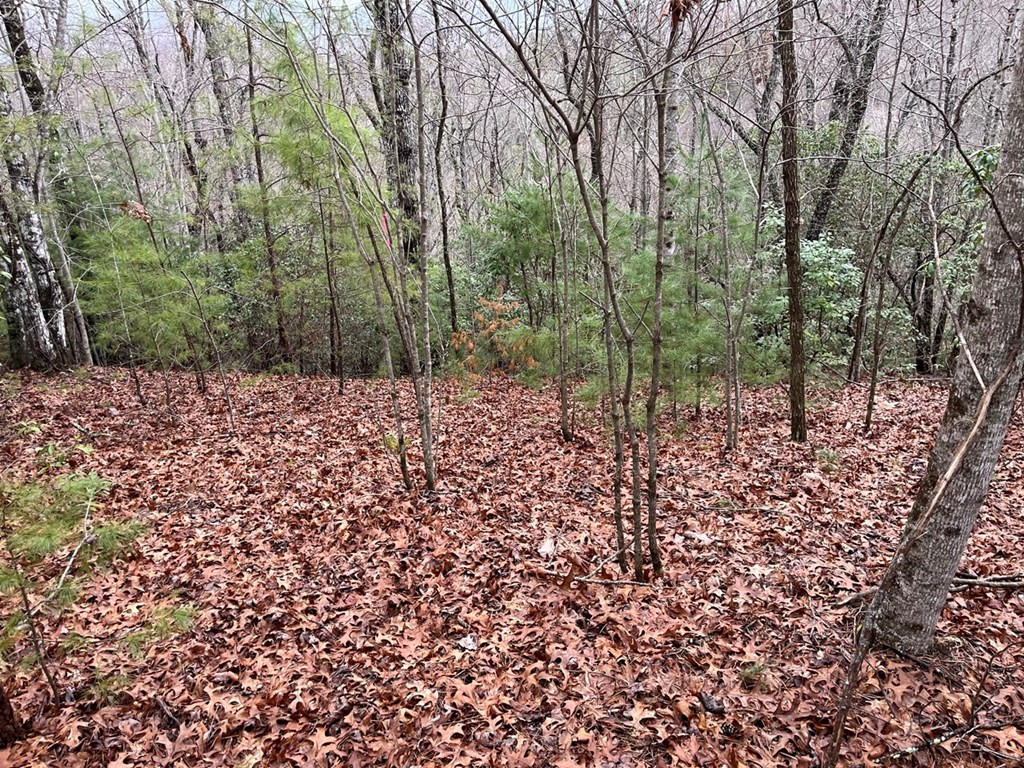 19 Lots Crockett Property Photo 43