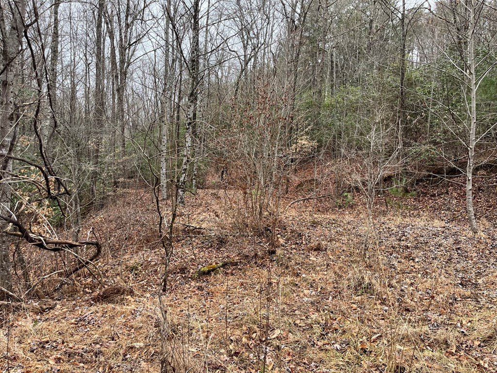 19 Lots Crockett Property Photo 46