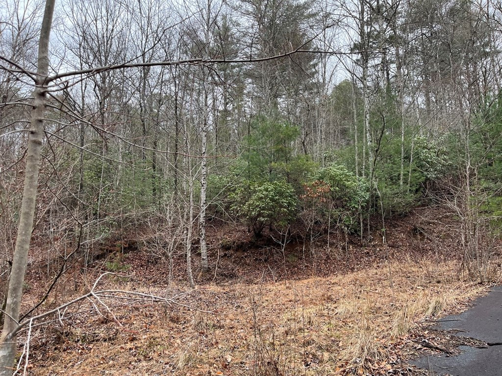 19 Lots Crockett Property Photo 47