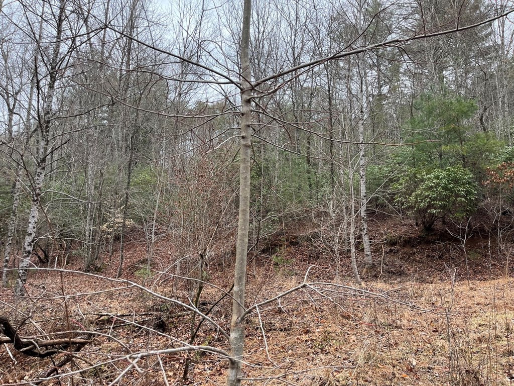 19 Lots Crockett Property Photo 48