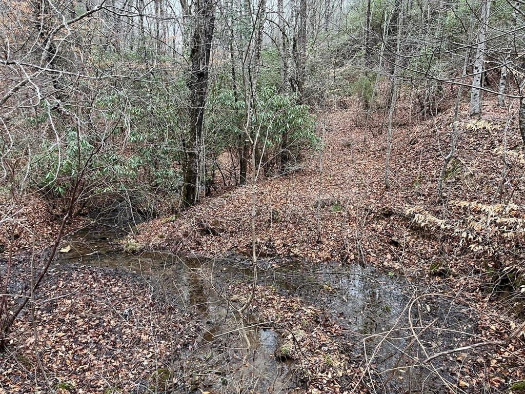 19 Lots Crockett Property Photo 49