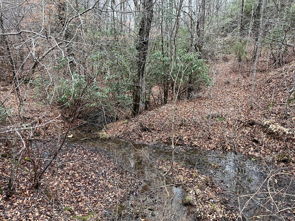19 Lots Crockett Property Photo 50