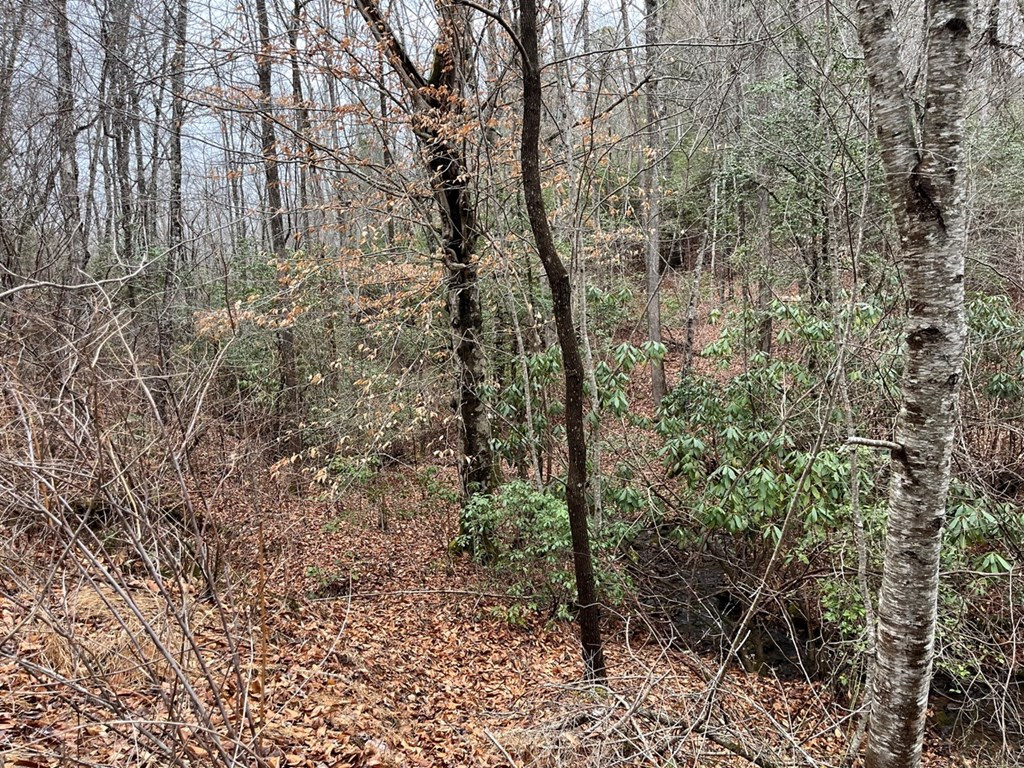 19 Lots Crockett Property Photo 51