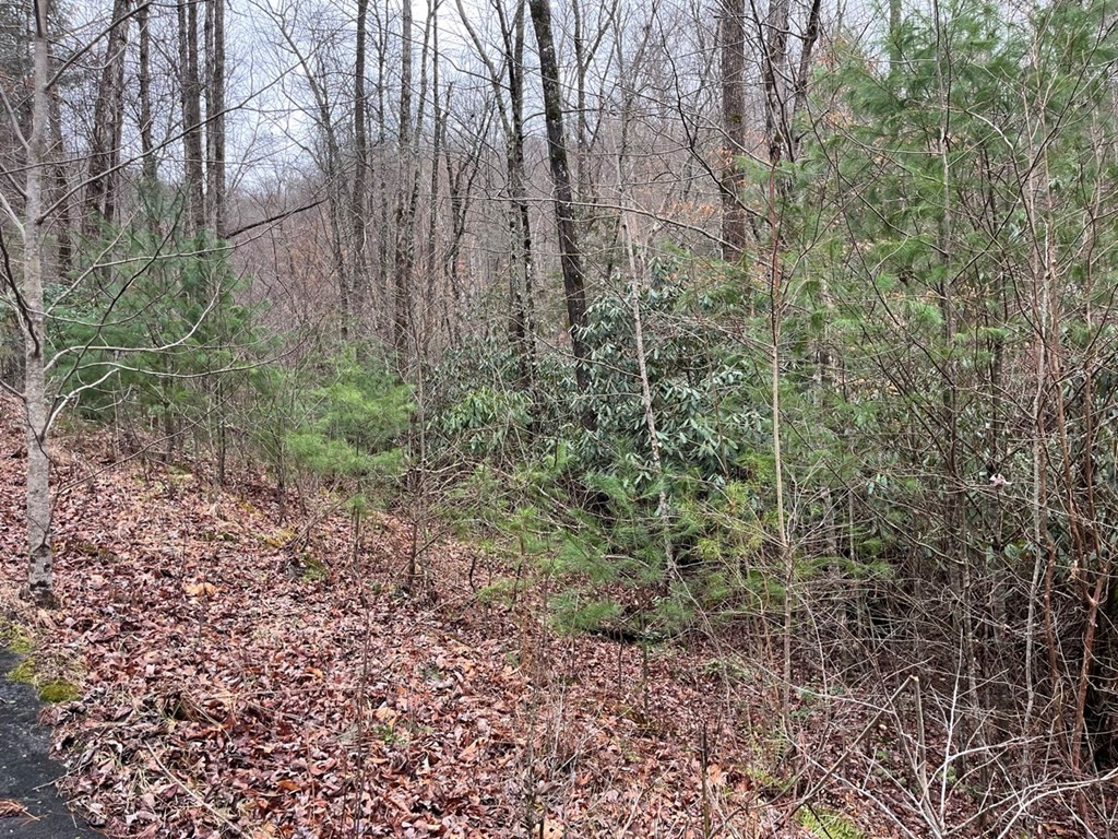 19 Lots Crockett Property Photo 53