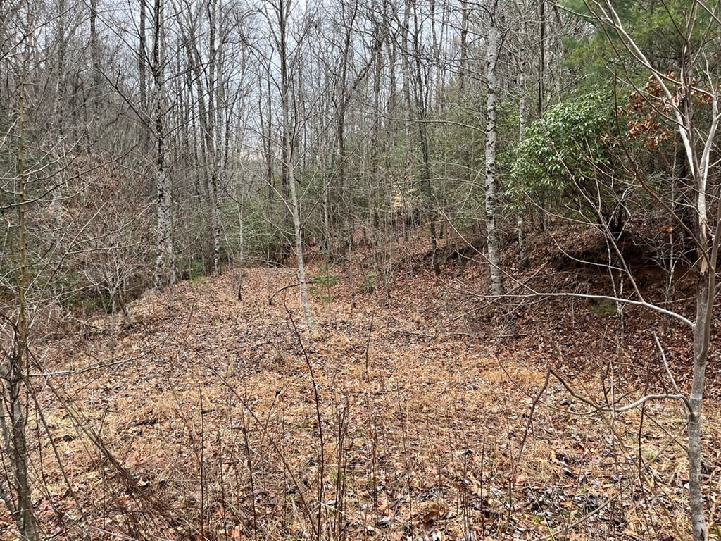 19 Lots Crockett Property Photo 55