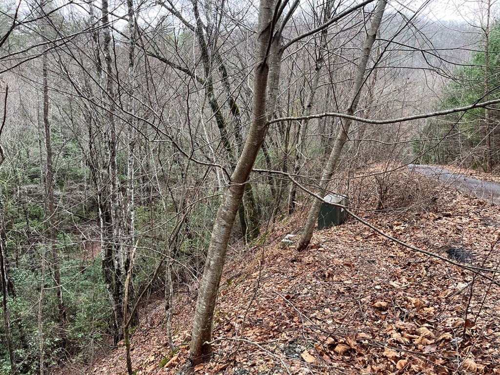 19 Lots Crockett Property Photo 56