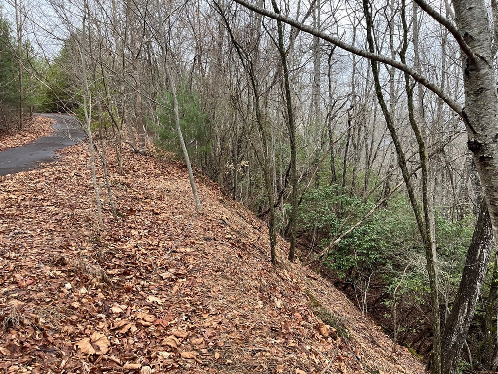 19 Lots Crockett Property Photo 57