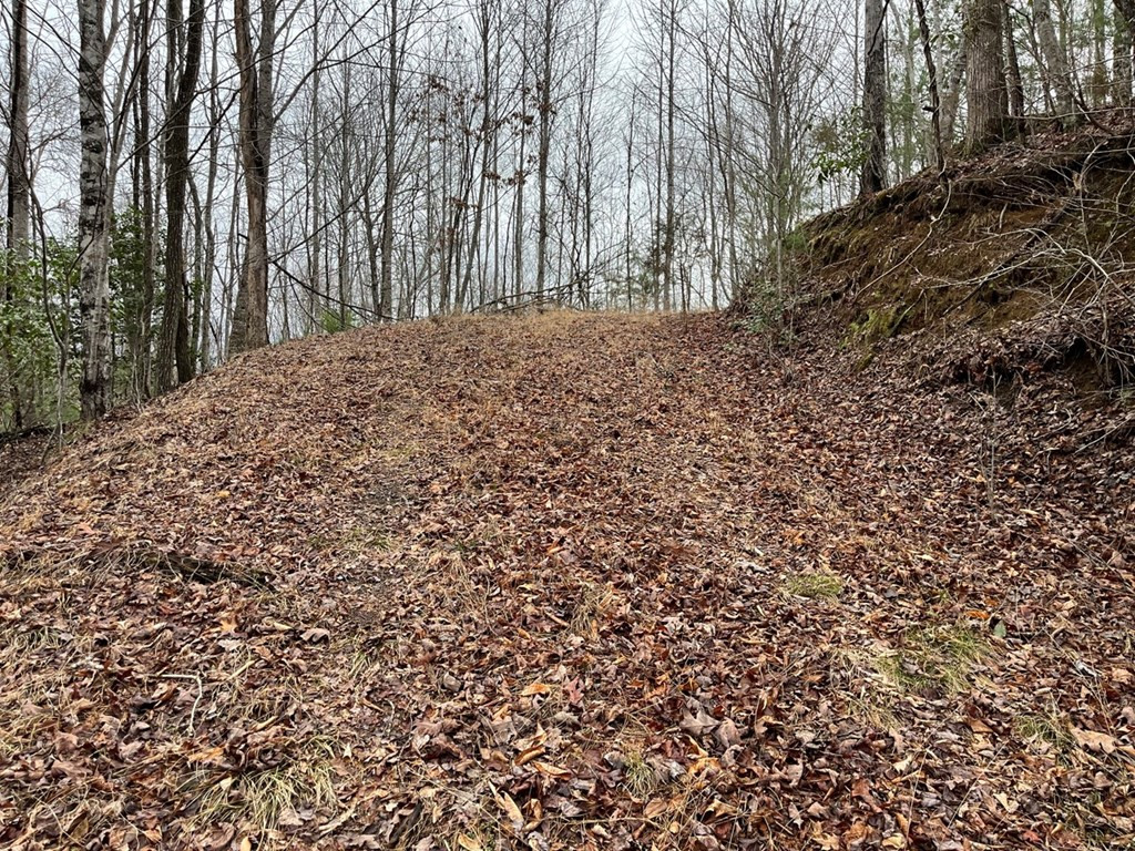 19 Lots Crockett Property Photo 63
