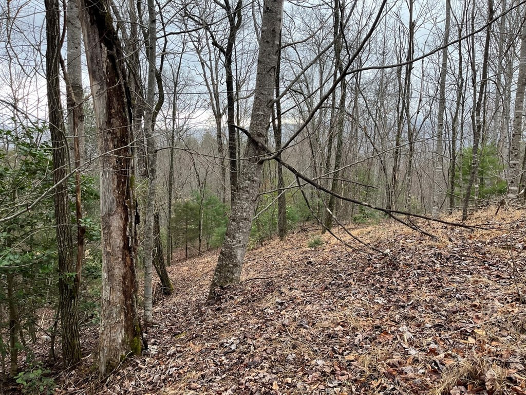19 Lots Crockett Property Photo 64
