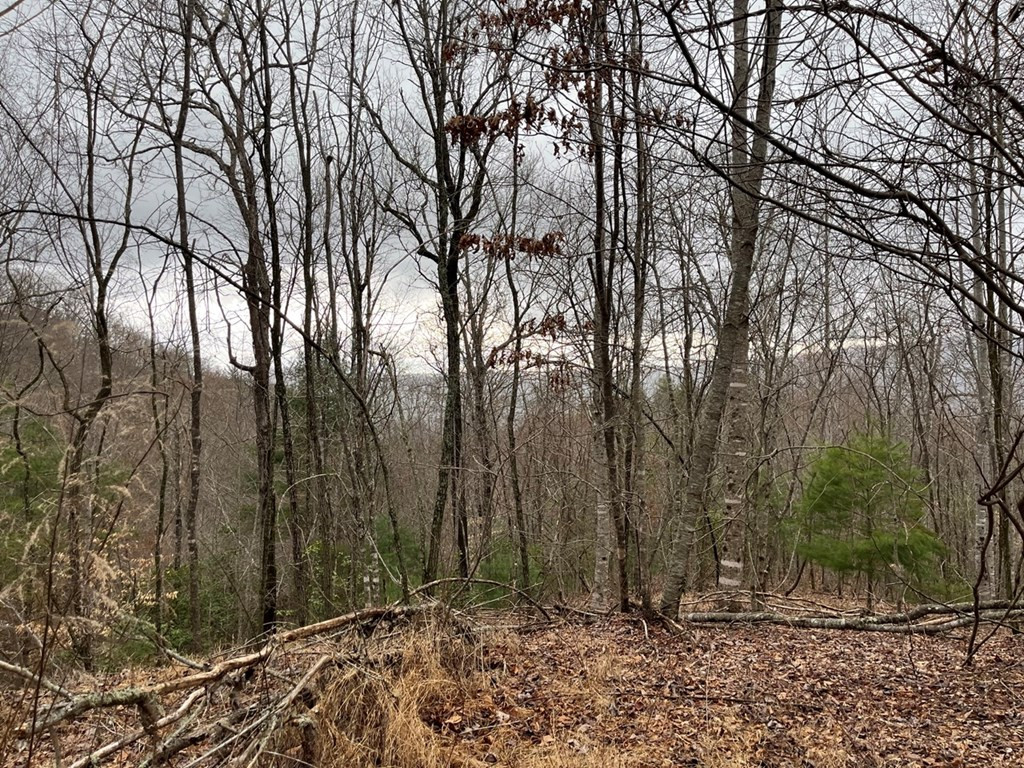 19 Lots Crockett Property Photo 65