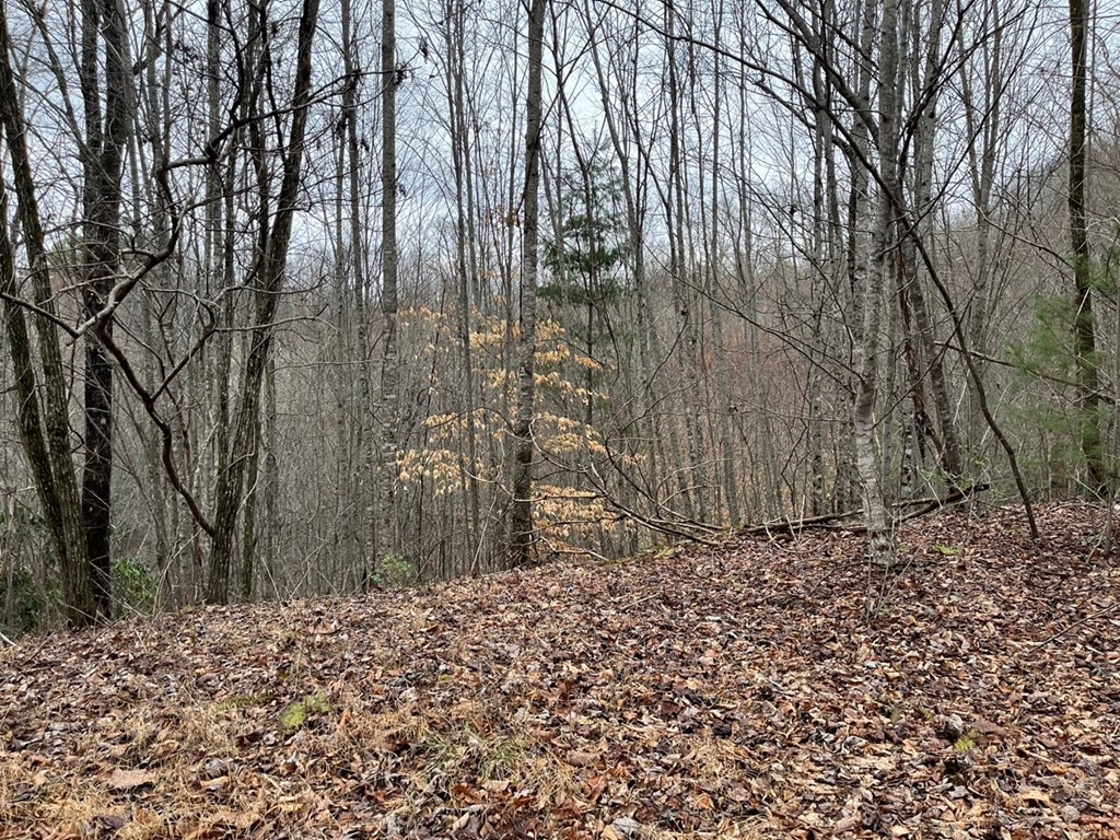19 Lots Crockett Property Photo 67