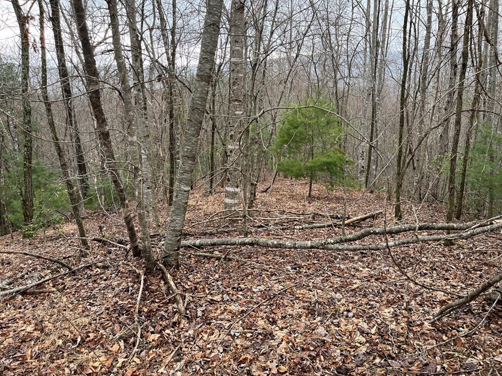 19 Lots Crockett Property Photo 68